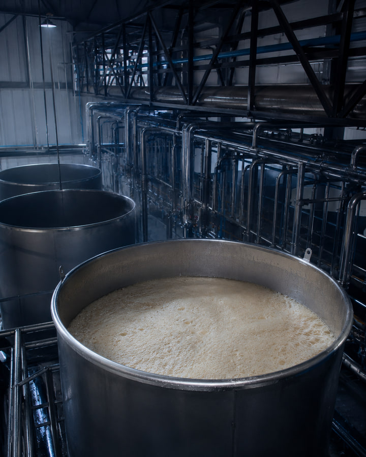 Slow, cool fermentation, fermentation method